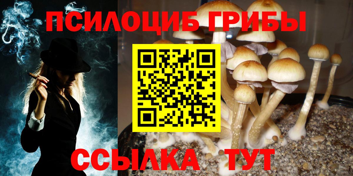 Галлюциногенные грибы Psilocybine cubensis Сызрань