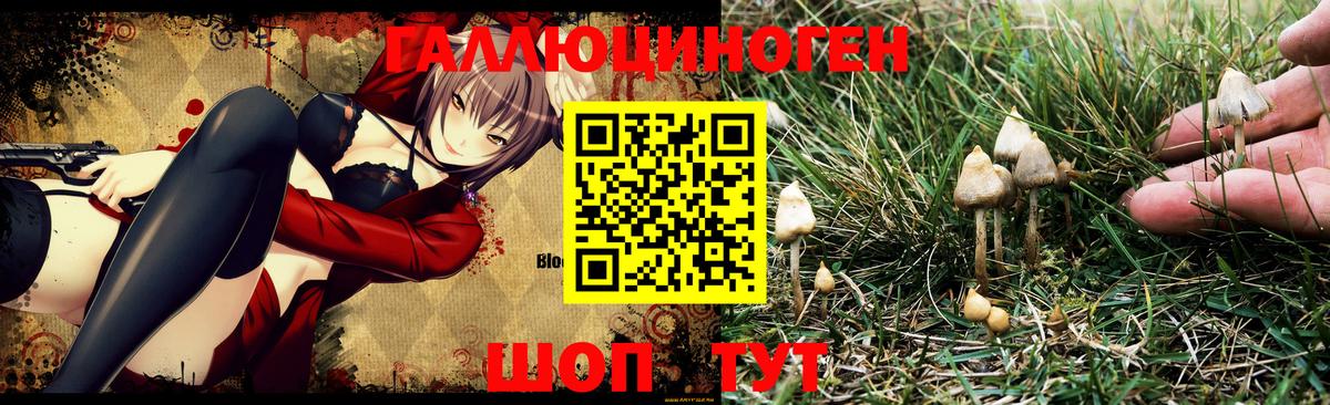 Галлюциногенные грибы Magic Shrooms  Вход с VPN  Сызрань  Галлюциногенные грибы мухоморы 